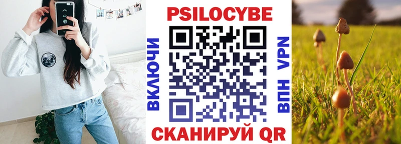 Галлюциногенные грибы мицелий Усть-Кут