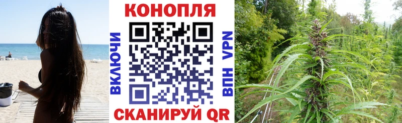 Бошки Шишки MAZAR  Усть-Кут 